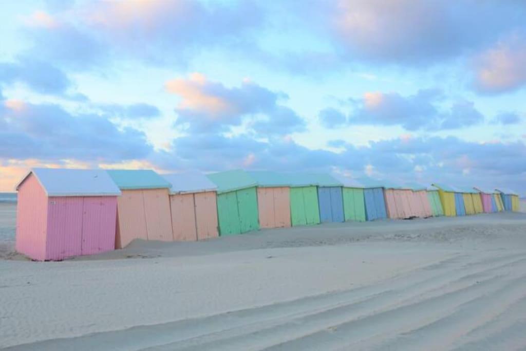 BerckCozy D'Opale Charmant T1 Bord De Mer Cour Privee Et Clot Wifi 3 Pers Animaux Acceptes Gratuit公寓 外观 照片